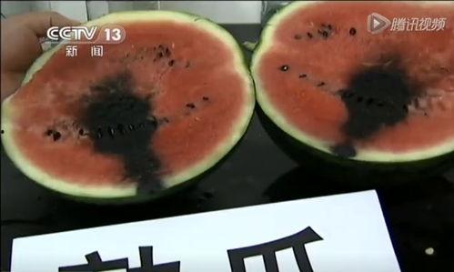 吃瓜视频热门吃瓜,娱乐圈幕后真相大曝光