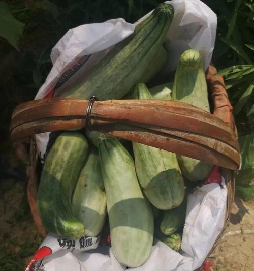 带货吃瓜全过程视频完整版,带货吃瓜大事件，带你领略网红带货魅力